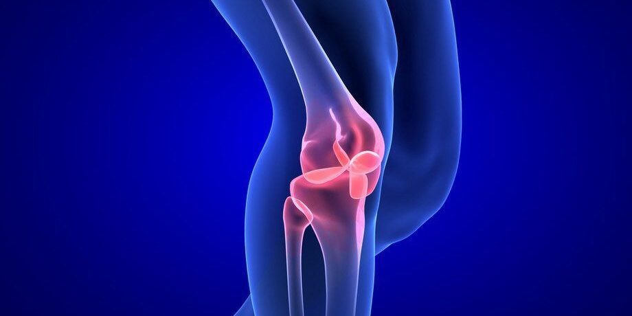 porcerosito-hatoanyagok-e1546380249743 (1)